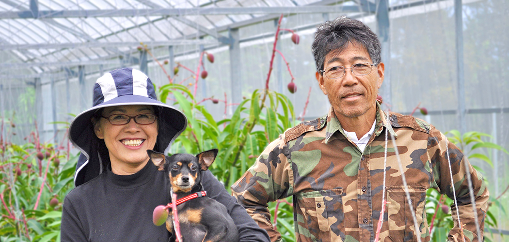 ときわマンゴー農園 吉濱夫妻